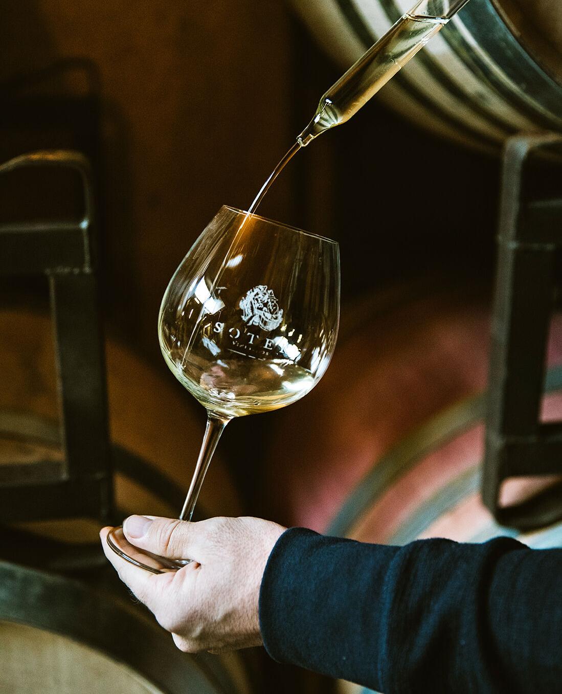 Soter wine glass
